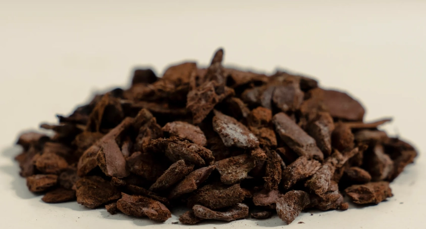 紫葉酢漿草營養