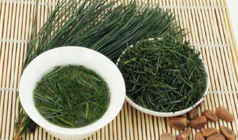 松針葉使用方法