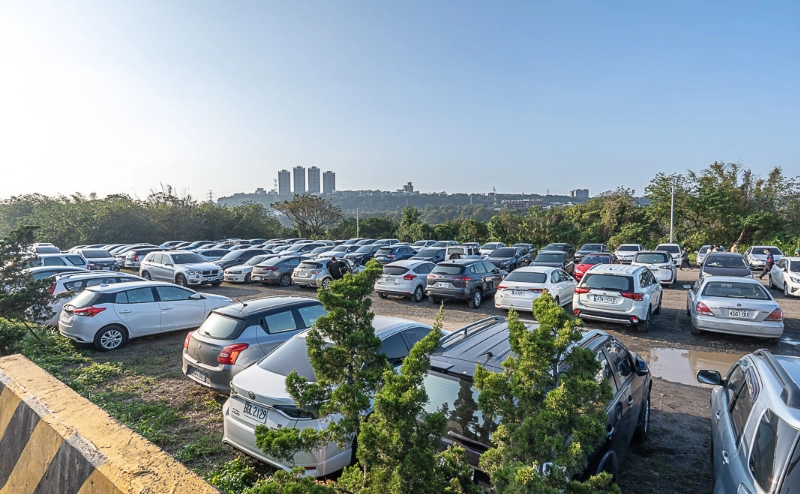 落羽松觀賞季節