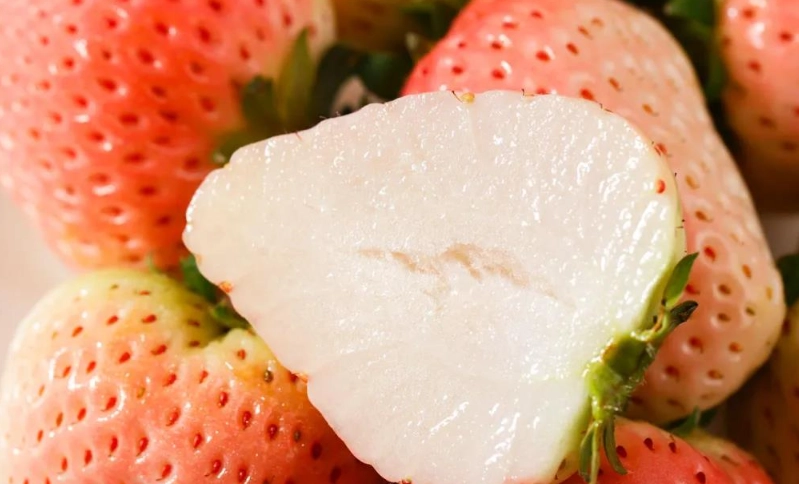 粉黛草莓病虫害防治 粉黛草莓病虫害防治