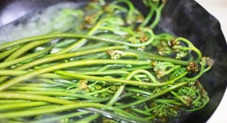 蕨菜健康益处