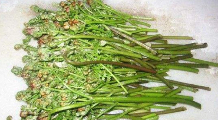 蕨菜健康益处