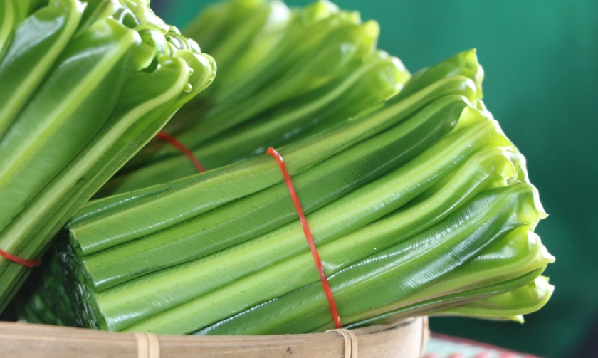 蕨類營養價值 蕨類營養價值