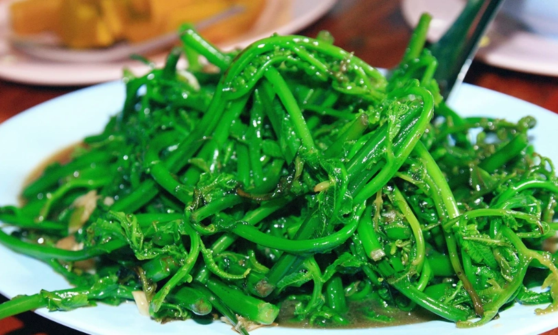 蕨菜食譜