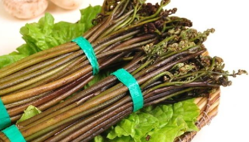 蕨類烹飪方法 蕨類烹飪方法