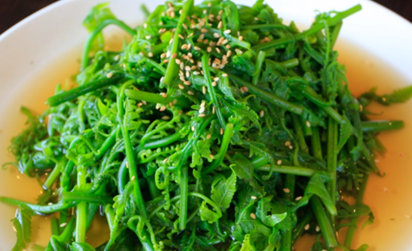 蕨菜食譜