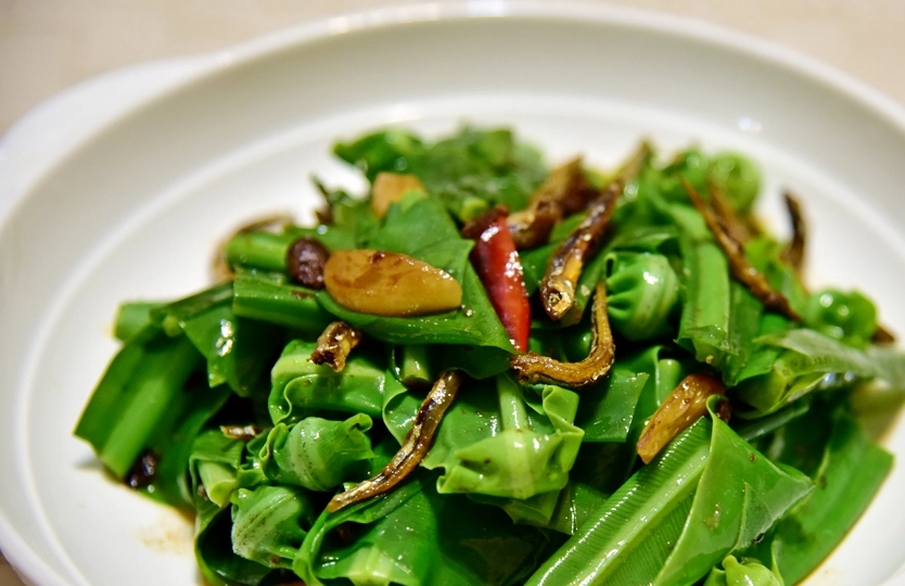 蕨類營養價值 蕨類營養價值