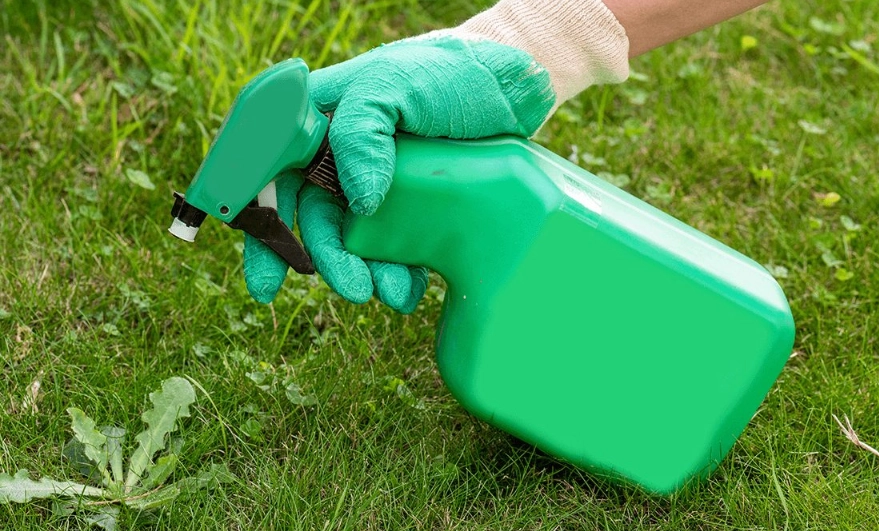 小蘇打除草秘訣 小蘇打除草秘訣