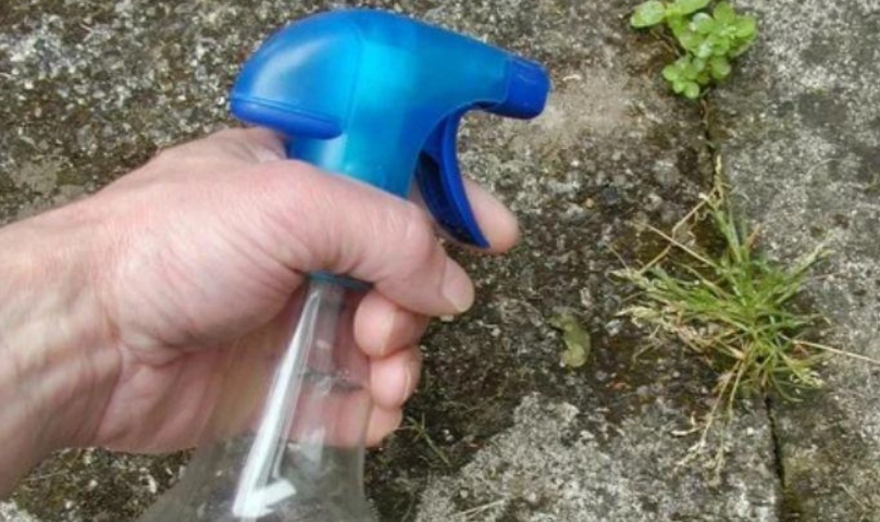 天然除草方法 天然除草方法