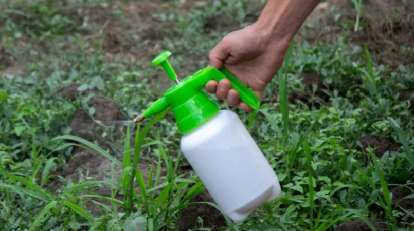 天然除草方法 天然除草方法