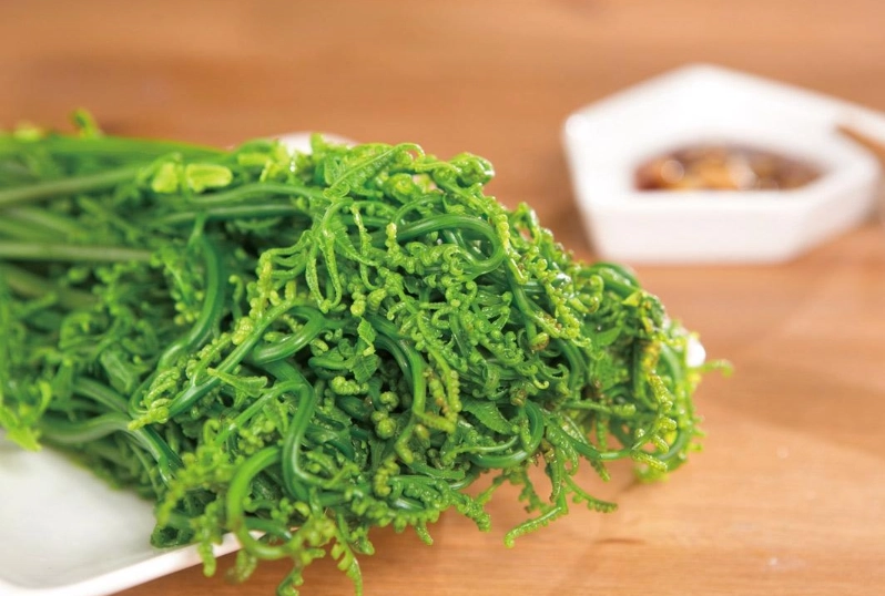 蕨菜毒性 蕨菜毒性