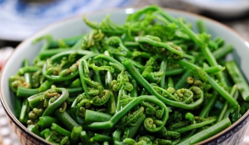 蕨菜毒性 蕨菜毒性