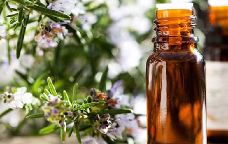 迷迭香精油功效 迷迭香精油功效