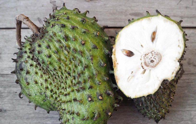 刺果番荔枝 營養價值 刺果番荔枝 營養價值