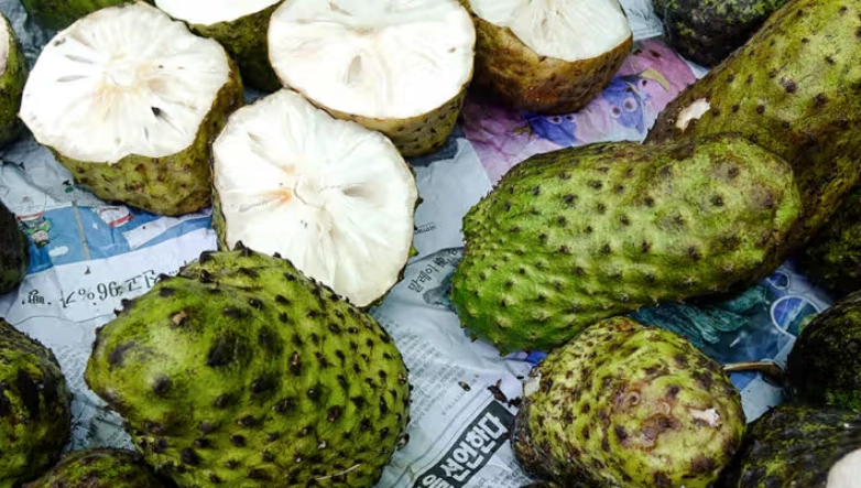 刺果番荔枝 吃法 刺果番荔枝 吃法