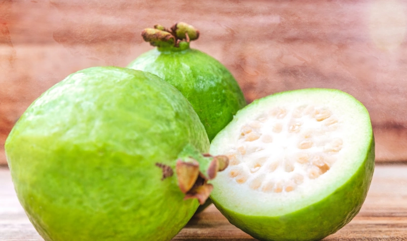 台灣番石榴品種