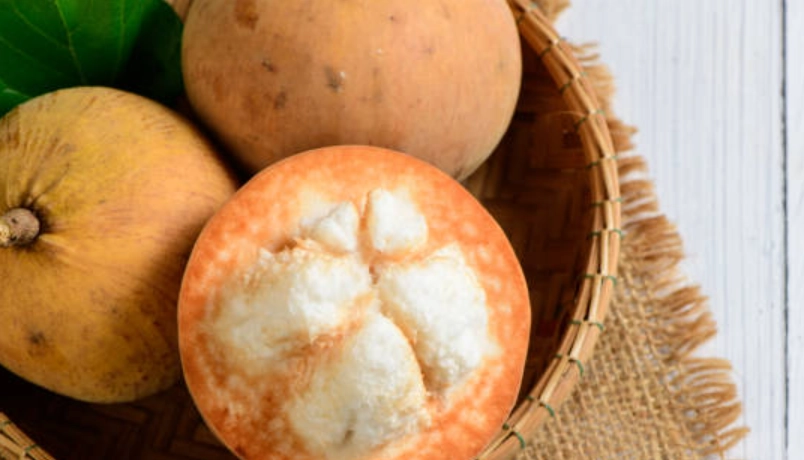 山陀兒保存方法