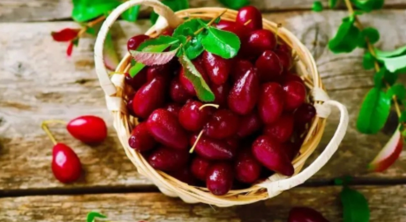 山茱萸食用方法